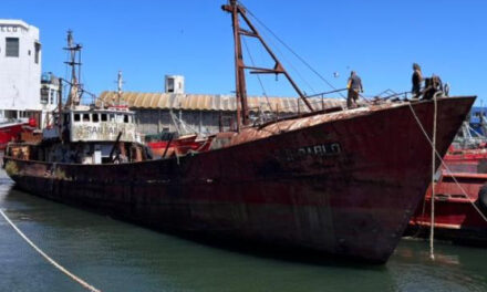 El Puerto de Mar del Plata avanza en la recuperación de espacio operativo