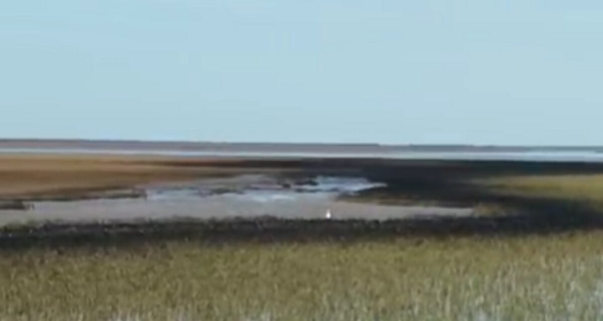 Derrame de petróleo en la Ría de Bahía Blanca: Critican la falta de comunicación de la empresa
