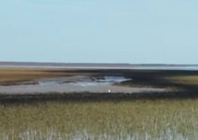Derrame de petróleo en la Ría de Bahía Blanca: Critican la falta de comunicación de la empresa