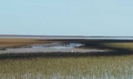 Derrame de petróleo en la Ría de Bahía Blanca: Critican la falta de comunicación de la empresa