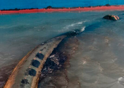 Nuevo derrame de petróleo en la Ría de Bahía Blanca