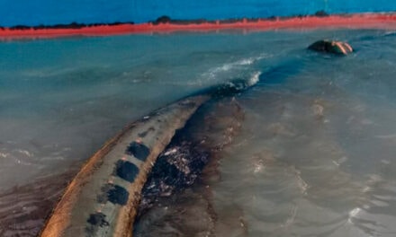 Nuevo derrame de petróleo en la Ría de Bahía Blanca