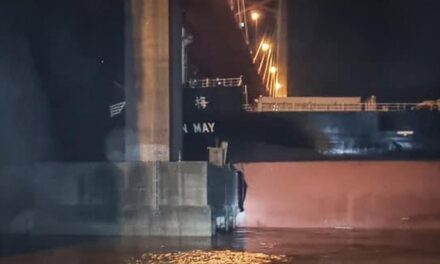 Un gran buque cerealero chocó contra el puente Zárate Brazo Largo