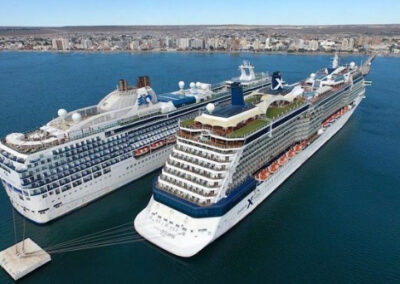 Dos gigantes del mar arriban a Puerto Madryn