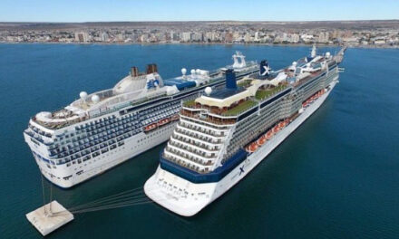 Dos gigantes del mar arriban a Puerto Madryn