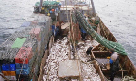 La defensa de la pesca en Argentina une a todos los sectores