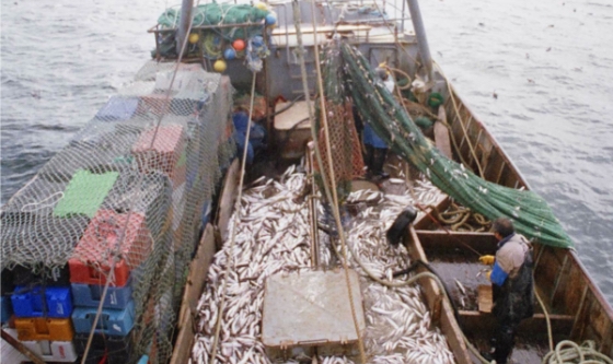 La defensa de la pesca en Argentina une a todos los sectores