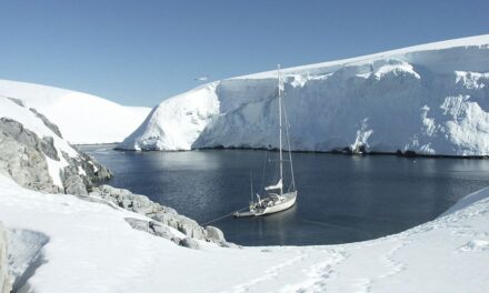 Asisten en Ushuaia con éxito a dos pasajeras del velero antártico Tánana