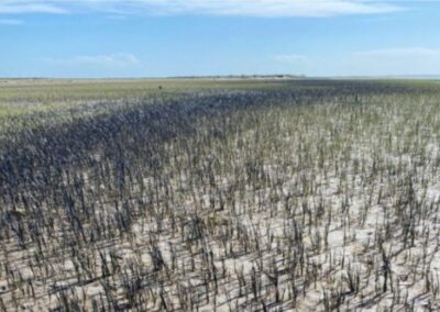Bahía Blanca: Susbielles realizará denuncia penal contra Oiltanking por el derrame en la ría