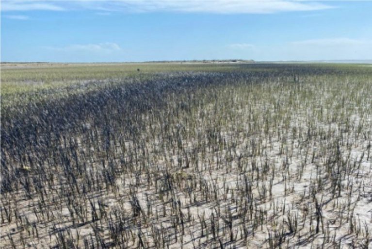 Bahía Blanca: Susbielles realizará denuncia penal contra Oiltanking por el derrame en la ría