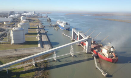 Puerto de Bahía Blanca: en enero refleja un impulso significativo en la exportación de granos