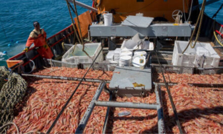 Gobierno del Chubut media el conflicto pesquero y reactiva la temporada de pesca