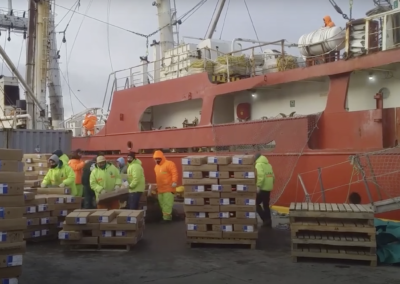 La Merluza Negra pescada por el buque Tai An es un ataque al frágil equilibrio del ecosistema marino