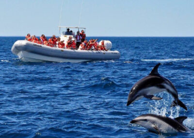 Puerto Madryn: Piden regular el espacio costero para el avistaje de Delfines