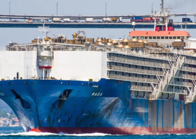 El buque más grande del mundo dedicado al transporte de ganado