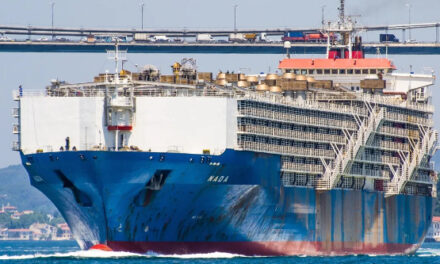 El buque más grande del mundo dedicado al transporte de ganado