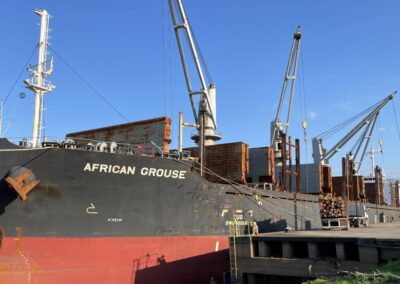 El Puerto de Concepción del Uruguay avanza en su expansión y diversificación de cargas