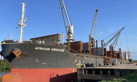 El Puerto de Concepción del Uruguay avanza en su expansión y diversificación de cargas