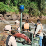 Contaminación del río Paraná: investigan fluido blanco y espumoso