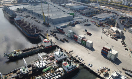 Puerto de Montevideo: ANP licita nueva terminal de graneles líquidos