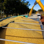 Cargill y Viterra lideran las exportaciones de granos en el primer bimestre del año