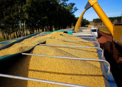 Cargill y Viterra lideran las exportaciones de granos en el primer bimestre del año