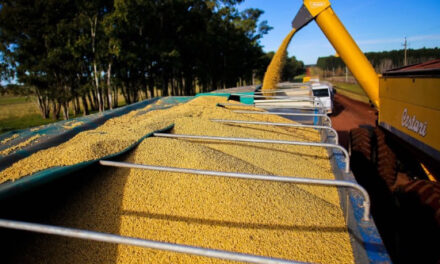 Cargill y Viterra lideran las exportaciones de granos en el primer bimestre del año