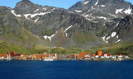 Islas Malvinas: de manera unilateral extienden zonas protegidas