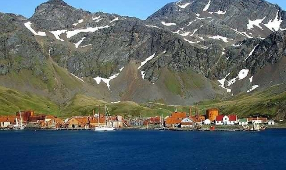 Islas Malvinas: de manera unilateral extienden zonas protegidas