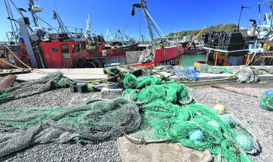 Profunda crisis pesquera afecta al golfo San Matías