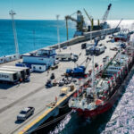 Temporada récord de calamar en Chubut: Una industria en crecimiento