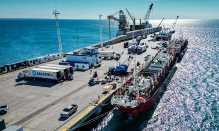 Temporada récord de calamar en Chubut: Una industria en crecimiento