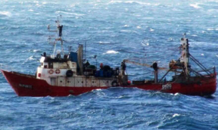 Alertan sobre la importación de barcos usados y su Impacto en la seguridad marítima