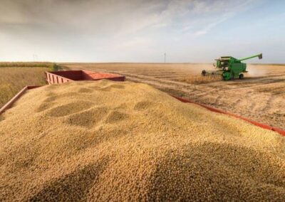 Se esperan cosechas récord de soja tras años de sequía