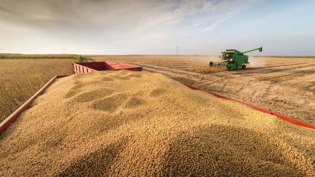 Se esperan cosechas récord de soja tras años de sequía