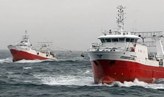 Prospección de Langostino: Buques Seleccionados y Protocolos Confirmados