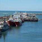 Puerto Mar del Plata: se redefine el uso de la Escollera Norte y finaliza el proyecto de la Terminal de Cruceros