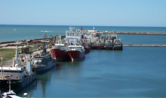 Puerto Mar del Plata: se redefine el uso de la Escollera Norte y finaliza el proyecto de la Terminal de Cruceros
