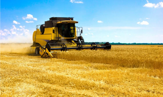 El “AGRO SEMESTRE” que no fue: De las proyecciones récord al similar performance 2023