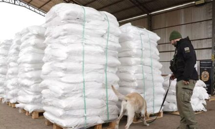Interceptan en Paraguay el mayor cargamento de cocaína de la historia