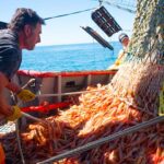 Crisis de costos en la industria pesquera patagónica: gasoil y paritaria de estibadores amenazan la temporada de langostino