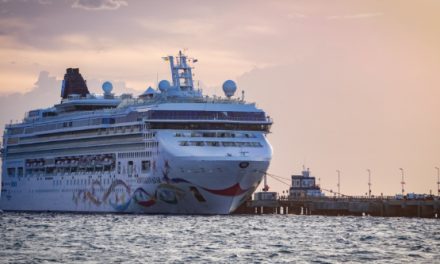 El crecimiento del turismo de cruceros consolida a Puerto Madryn en la región