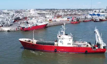 Puerto de Mar del Plata: Llegan los primeros buques fresqueros y culminan obras viales