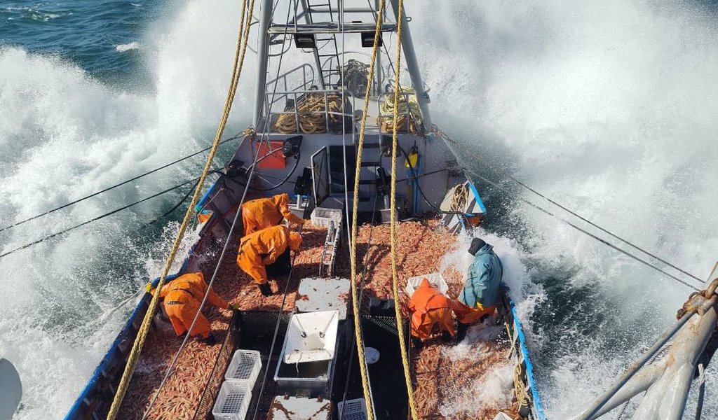 Argentina y el Acuerdo de Ciudad del Cabo: un punto de inflexión para la pesca industrial