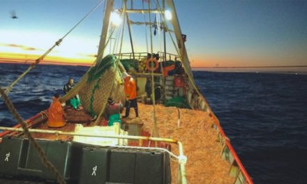 “A Mar revuelto, ganancia de especuladores”, Análisis de coyuntura y 10 medidas para recuperar la Pesca