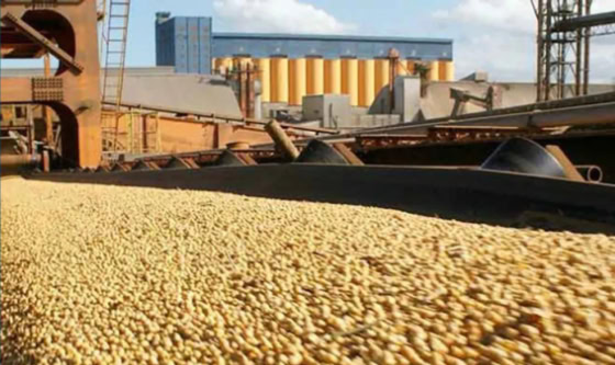 Argentina recupera el segundo puesto como exportador mundial de cebada tras más de una década