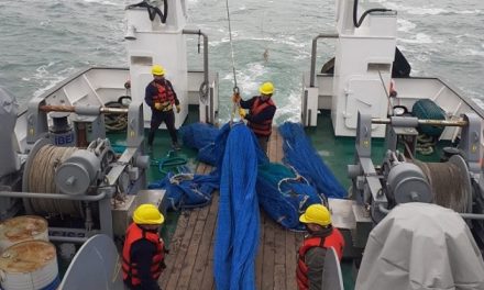 INIDEP calibra una red de arrastre de fondo en el BIPO “Mar Argentino” para optimizar la pesca sostenible