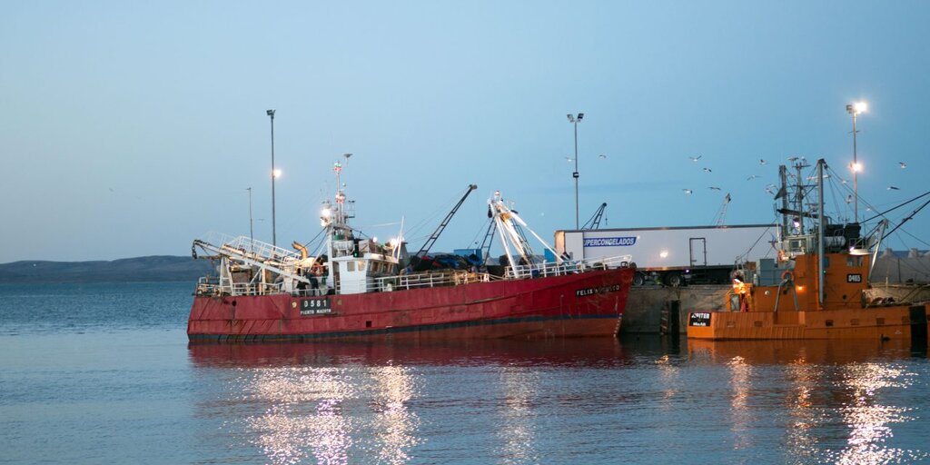 Crisis en la pesca de langostino: costos altos y falta de mercados frenan la temporada