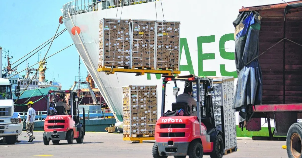 Disminución de exportaciones de peras en el puerto de San Antonio Este: causas y alternativas