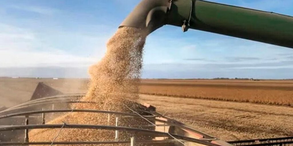 Impacto de la baja de retenciones a la soja: liquidaciones récord y un costo fiscal de USD 100 millones en el primer mes